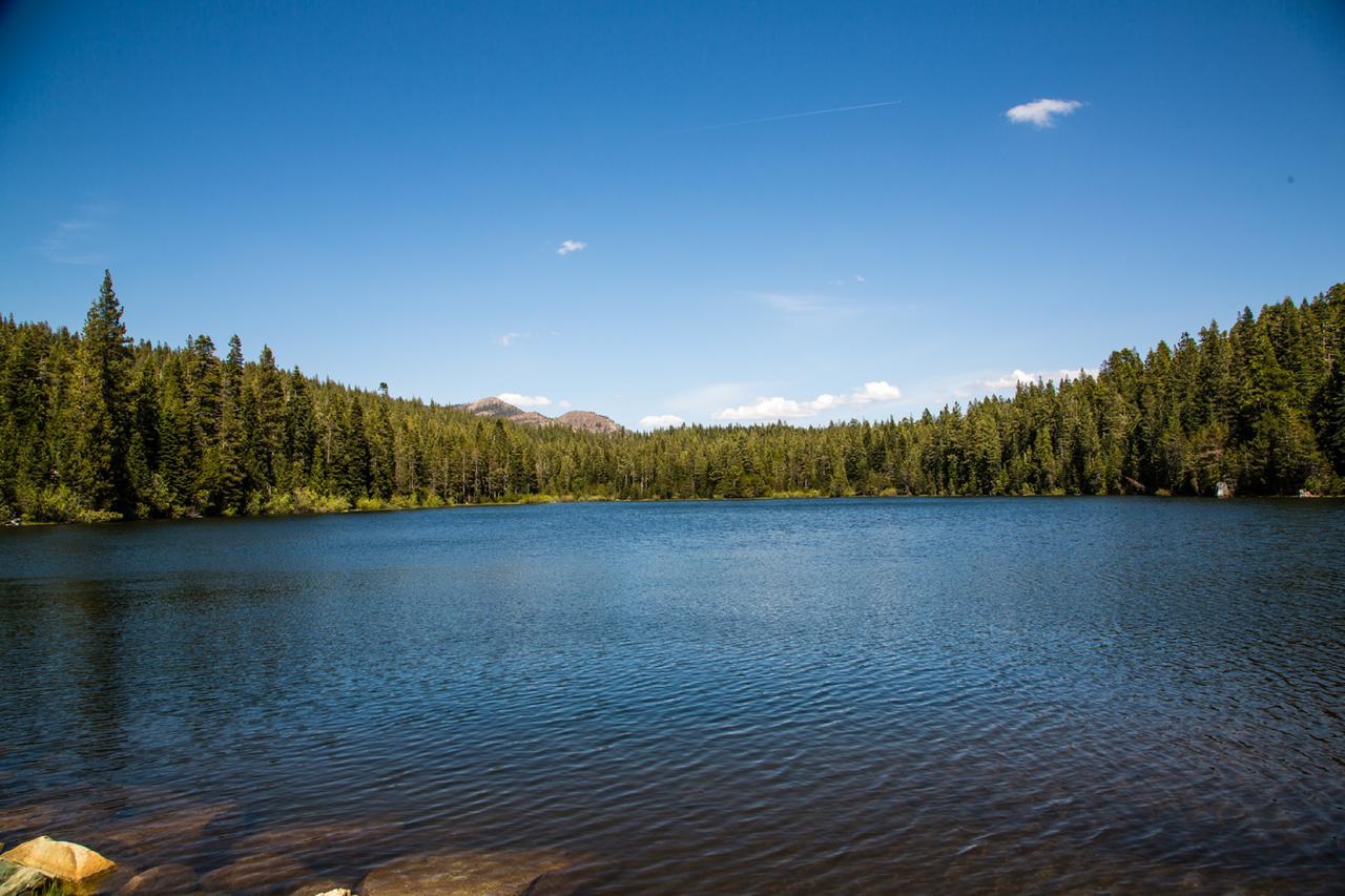Snowflower Camping Resort Cabin 3 Emigrant Gap エクステリア 写真